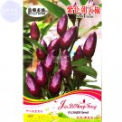 Purple Pod Peper Heirloom Violet Cluster Chilli Seeds, 30 seeds, original pack, hot edible organic v Purple Pod Peper Heirloom Violet Cluster Chilli Seeds, 30 seeds, original pack, hot edible organic v