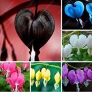 Dicentra Spectabilis Bleeding Heart Flower SeedsItem NO.: CO-1405 Dicentra Spectabilis Bleeding Heart Flower SeedsItem NO.: CO-1405