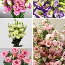Eustoma, MixedItem NO.: CO-1041