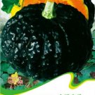 1 Original Pack, 8 seeds / pack, Rare Japanese Black Pumpkin, Organic Non-gmo Heirloom Vegetables #C