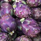 Rare Italian Artichoke Seeds, professional pack, 4 Seeds, heirloom VIOLETTA DI CHIOGGIA vegetables T