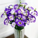 Lisianthus Seeds, White Flowers with Purple RimItem NO.: DG122-choice