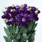 Lisianthus SeedsItem NO.: DG123-choice