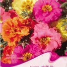 1 Original Pack, 100 seeds / pack, Mix PORTULACA Grandiflora MOSS ROSE Flower Seeds #A022Item NO.: A