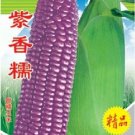 1 Original Pack, 100g Seeds / Pack, Purple Glutinous Maize Corn Seeds, Heirloom NON-gmo Organic Tast