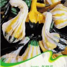 1 Original Pack, approx 8 Seeds / Pack, Bi-colored Ornamental Pumpkin with Five Pairs Edges Cucurbit