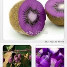 Rare Heirloom Organic Purple Kiwi Fruit Seeds, Professional Pack, 50 Seeds / Pack, Tasty Sweet Delic