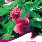 1 Original Pack, 20 seeds Bonsai Hollyhock COUNTRY ROMANCE RED Alcea Rosea Flower Seeds #A036Item NO