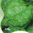 10 Original Packs, 160 seeds / pack, ICEBERG LETTUCE Lactuca Vegetable SeedsItem NO.: NF121