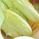 10 Original Packs, 30 seeds / pack, Fresh Chinese Baby Cabbage Vegetable SeedsItem NO.: NF132