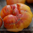 'Old German'  Rare Organic Heirloom Tomato Seeds, Professional Pack, 100 Seeds / Pack, Lycopersicon 