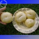 Rare Belyy Giant White Beefsteak Tomato Seeds, Professional Pack, 100 Seeds / Pack, Edible Tasty Fru Rare Belyy Giant White Beefsteak Tomato Seeds, Professional Pack, 100 Seeds / Pack, Edible Tasty Fru