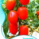 Heirloom Milky Bright Red Oval Little Dwarf Tomato Seeds, Original Pack, 25 Seeds / Pack, Tasty Swee