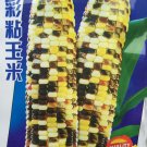Rare Heirloom Early-Maturing Sticky Colorful Sweet Corn Organic Seeds, Original Pack, 50g Seeds / Pa Rare Heirloom Early-Maturing Sticky Colorful Sweet Corn Organic Seeds, Original Pack, 50g Seeds / Pa