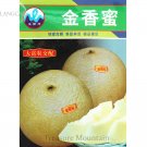 Rare Golden White Sweet Melon with white meat fruits hybrid F1, Original Pack, 10 grams Seeds, 17% s Rare Golden White Sweet Melon with white meat fruits hybrid F1, Original Pack, 10 grams Seeds, 17% s