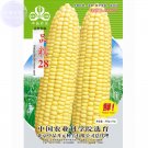 Pin Nuo 28' Bright Yellow Corn Hybrid High Yield, 200grams strong glutinous strong sweet fragrant ma