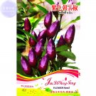 Pod Pepper Dark Purple Chile Vegetables Seeds, 25 Seeds, original pack, ornamental hot bonsai red cl Pod Pepper Dark Purple Chile Vegetables Seeds, 25 Seeds, original pack, ornamental hot bonsai red cl
