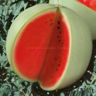 Watermelon Dark Red inside White Skin Melon Seeds, 20 Seeds, Professional Pack, 18% sugar contained Watermelon Dark Red inside White Skin Melon Seeds, 20 Seeds, Professional Pack, 18% sugar contained