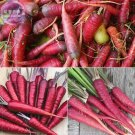 Carrot Heirloom Blood Red Vegetables Seeds, 100 Seeds, a lovely organic tasty vegetables E4244Item N Carrot Heirloom Blood Red Vegetables Seeds, 100 Seeds, a lovely organic tasty vegetables E4244Item N