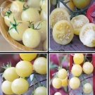 Heirloom White Cherry Tomato Organic Fresh Fruit Vegetables, 100 Seeds, delicious and nutritious E36