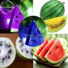 Rare Mixed Purple Yellow Red White Blue Watermelon Fruits, 20 seeds, juicy flesh sweet and delicious
