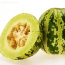 Green Muskmelon Sweet Melon, 20 Seeds, Spotted and Striped Cucumis Melo Sweet Fruit  E3772Item NO.: 
