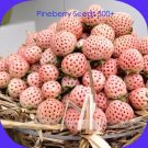Fresh Pineberry Seeds, Professional Pack, 500 Seeds / Pack, Ivory-White Berries Organic Heirloom Fru Fresh Pineberry Seeds, Professional Pack, 500 Seeds / Pack, Ivory-White Berries Organic Heirloom Fru
