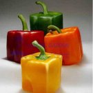 Rarest Mixed Orange Green Red Yellow Square Sweet Pepper F1 Seeds, Professional Pack, 100 Seeds / Pa Rarest Mixed Orange Green Red Yellow Square Sweet Pepper F1 Seeds, Professional Pack, 100 Seeds / Pa