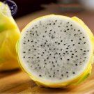 Rare Large Yellow Dragon Fruit  Pitaya Organic Seeds, Professional Pack, 30 Seeds / Pack, Sweet Tast