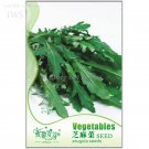 Arugula Plant Vegetable Seeds, Original Pack, 120 seeds, natural and healthy vegetable seeds IWSC109 Arugula Plant Vegetable Seeds, Original Pack, 120 seeds, natural and healthy vegetable seeds IWSC109