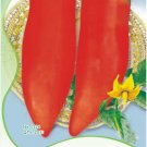 Rare Heirloom 'OX Horn' Long Red Green Tomato Organic Seeds, Original Pack, 20 Seeds / Pack, Tasty J