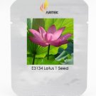 Heirloom Dark Red Strong Fragrant Nelumbo Nucifera Lotus Flower Seeds, Professional Pack, 1 Seed / P