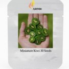 Heirloom Cocktail Miniature Kiwi Kiwiberry Berry Hardy Actinidia Arguta Fruit Seeds, Professional Pa