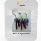 Rare Black Hungarian Hot Chili Pepper Organic Seeds, Professional Pack, 50 Seeds / Pack, Edible Orna Rare Black Hungarian Hot Chili Pepper Organic Seeds, Professional Pack, 50 Seeds / Pack, Edible Orna