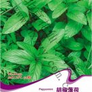Heirloom Peppermint Mint Herb Seeds, Original Pack, 50 Seeds / Pack, Mentha Piperita Bonsai or Outdo Heirloom Peppermint Mint Herb Seeds, Original Pack, 50 Seeds / Pack, Mentha Piperita Bonsai or Outdo