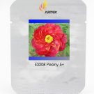 Rare 'Hua Wang' Red Peony Flower with Golden Spot Flower Seeds, Professional Pack, 5 Seeds / Pack, L