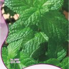 Heirloom Lemon Balm Herb Seeds, Original Pack, 40 Seeds / Pack, Mentha Citrata Lemon Mint E3289Item 