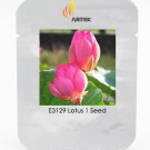 Heirloom Red Double-headed Nelumbo Nucifera Lotus Flower Seeds, Professional Pack, 1 Seed / Pack, Fr