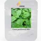 Heirloom Green Perilla Seeds, Professional Pack, 100 Seeds / Pack, Organic Refreshing Herbs E3380Ite
