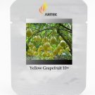 Heirloom Sweet Yellow Grapefruit Citrus maxima Fruit Seeds, Professional Pack, 10 Seeds / Pack, Tast