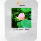 Heirloom Fragrant Ball Pink Nelumbo Nucifera Lotus Flower Seeds, Professional Pack, 1 Seed / Pack, B