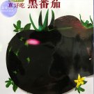 Rare Heirloom Big Black Tomato 'Xu Fu Ji' Organic Seeds, 200 Seeds/ Pack, Tasty Juicy Vegetables E30