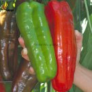 Rare Heirloom Giant Marconi Sweet Peppers Vegetables, 100 Seeds, hybrid red green yellow colors E353