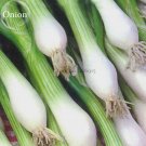 Spring Onion with White root Vegetables, 30 seeds, winter hardy E3928Item NO.: E3928