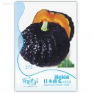 Heirloom Japanese Black Pumpkin Vegetables, Original Pack, 10 Seeds, nutritive edible garden squash 