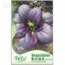 Edible Purple Rape Seeds , Original Pack, 20 seeds, natural organic green healthy balcony vegetable 