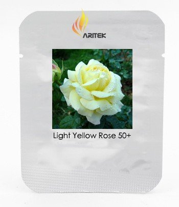 Large Light Rose Flower Seeds, Professional Pack, 50 Seeds / Pack, Light Fragrant Rose #LG00033Item 