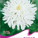 1 Original Pack, 50 seeds / pack, Zinnia Youth-and-Old-Age White Flower Seed #A147Item NO.: XLA147