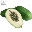 6PCS Guangxi Green Skin White Inside Giant Papaya Fruit Seeds Heirloom Pawpaw Fruits Great for Garde 6PCS Guangxi Green Skin White Inside Giant Papaya Fruit Seeds Heirloom Pawpaw Fruits Great for Garde