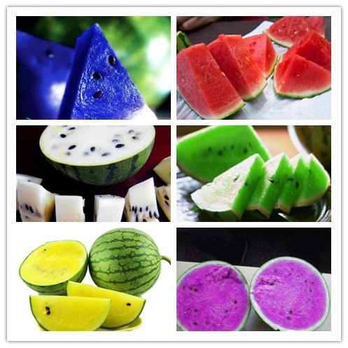 Watermelon seeds 50pcs fruit vegetable seeds Garden Home plantBlue Yellow Green Watermelon PurpleIte